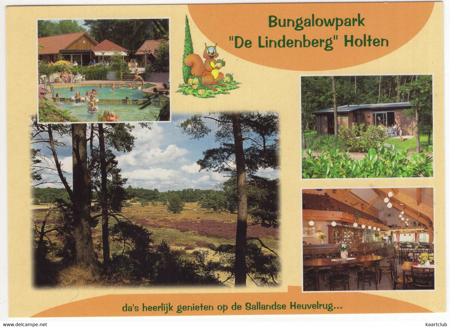 Holten - Bungalowpark 'De Lindenberg', Boekeldsweg 57 - (Ov., Nederland/Holland) - Zwembad, Heide Etc. - Salland - Holten