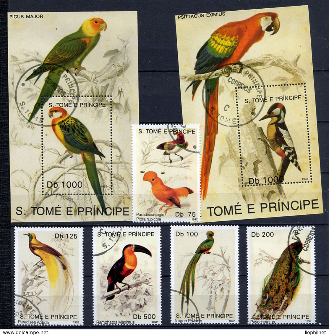 ST THOMAS ET PRINCE, SAO TOME E PRINCIPE 1992, Yv. 1099/103, BF 121/2 OISEAUX, 5 Val. Et 2 Blocs, Oblitérés / Used. R553 - Pappagalli & Tropicali