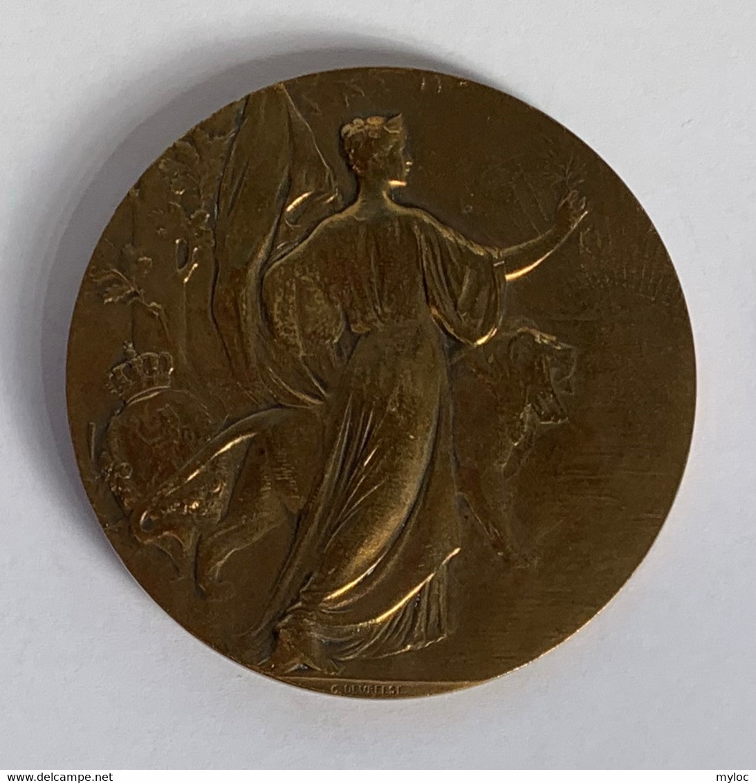 Médaille Bronze. Roi Léopold II. G. Devreese - Professionnels / De Société