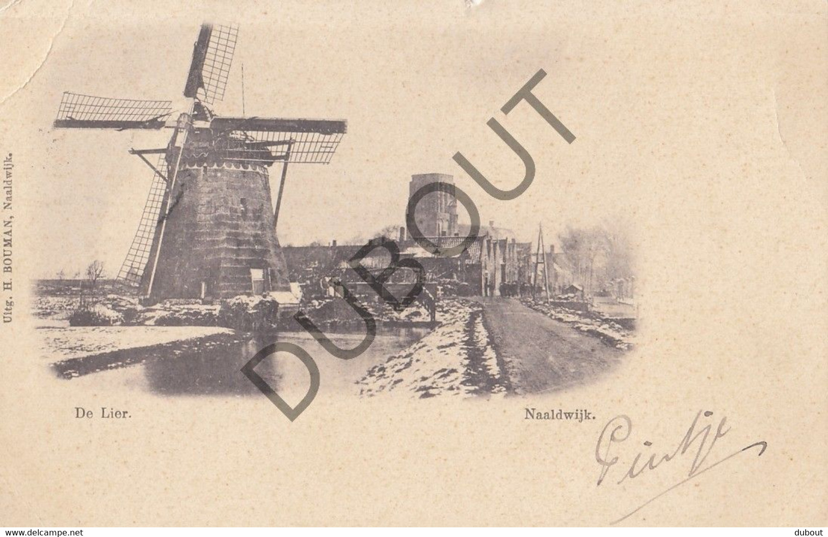 Postkaart/Carte Postale Molen De Lier - Naaldwijk - Westland  (C962) - Naaldwijk