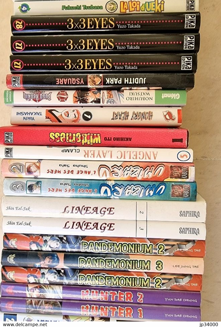 Lot De 52 Manga En Français. Petit Et Grand Format (Voir Les Titres Sur 6 Photos) - Mangas [french Edition]