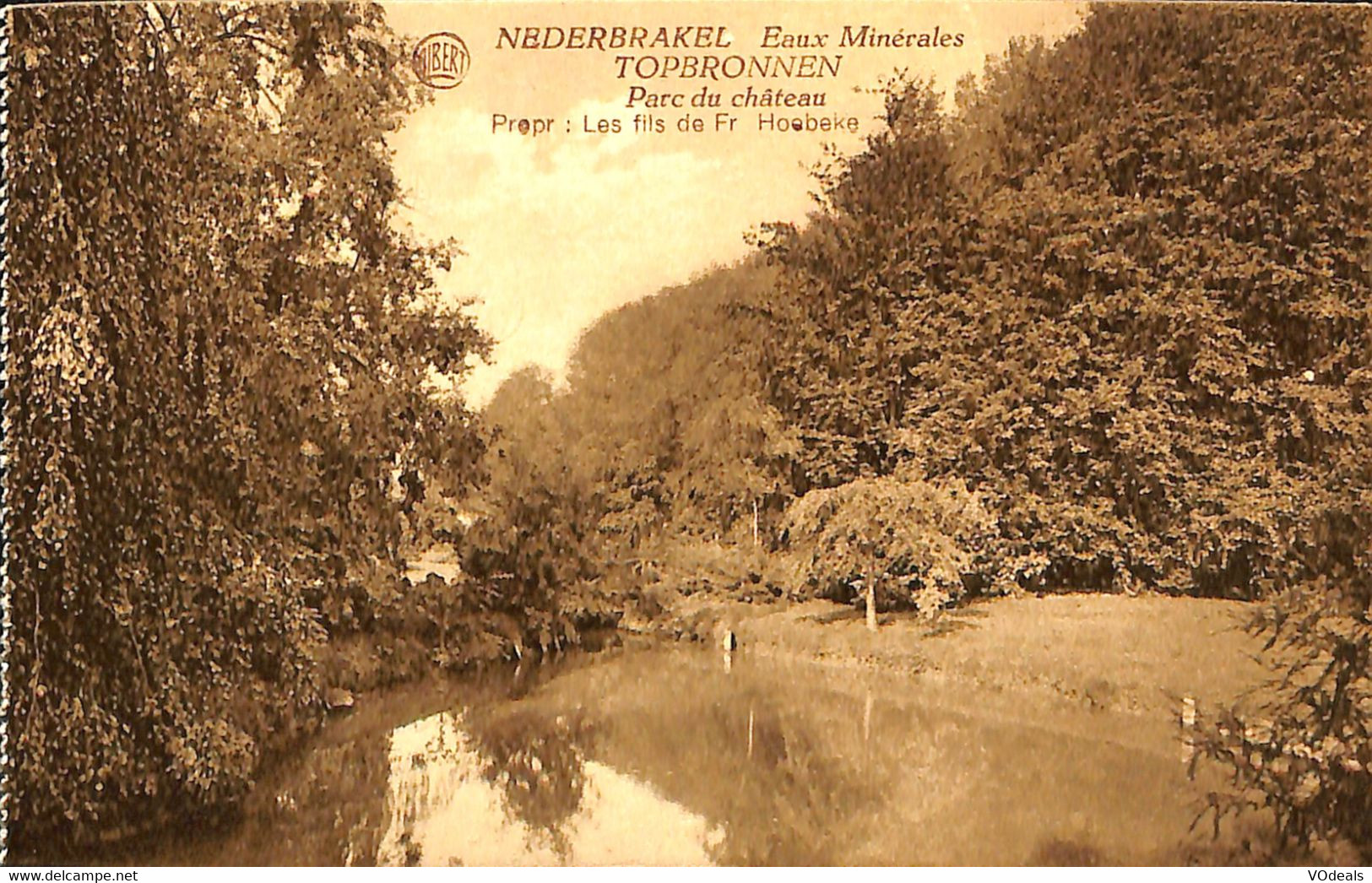 035 265 - CPA - Belgique - Nederbrakel - Eaux Minerales Topbronnen - Etablissements D'exploitation - Parc Du Château - Brakel