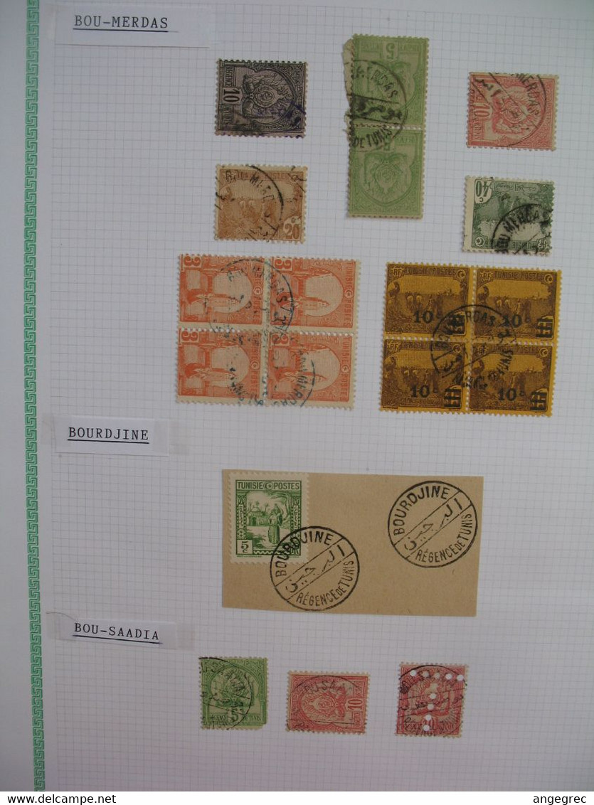 Tunisie Oblitération Bilingue Choisies, Lot De Timbres,    Bou Merdas Bourdjine Bou Saadia  Voir Scan - Used Stamps
