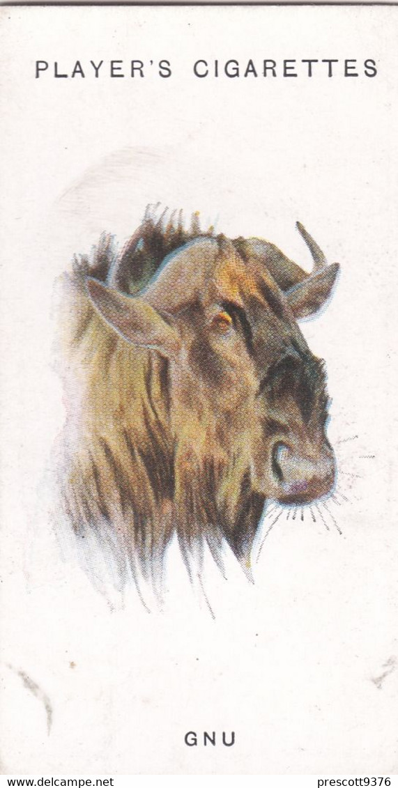 26 The Gnu  - Wild Animal Heads 1931 - Players Cigarette Card - Original - Wildlife, - Wills