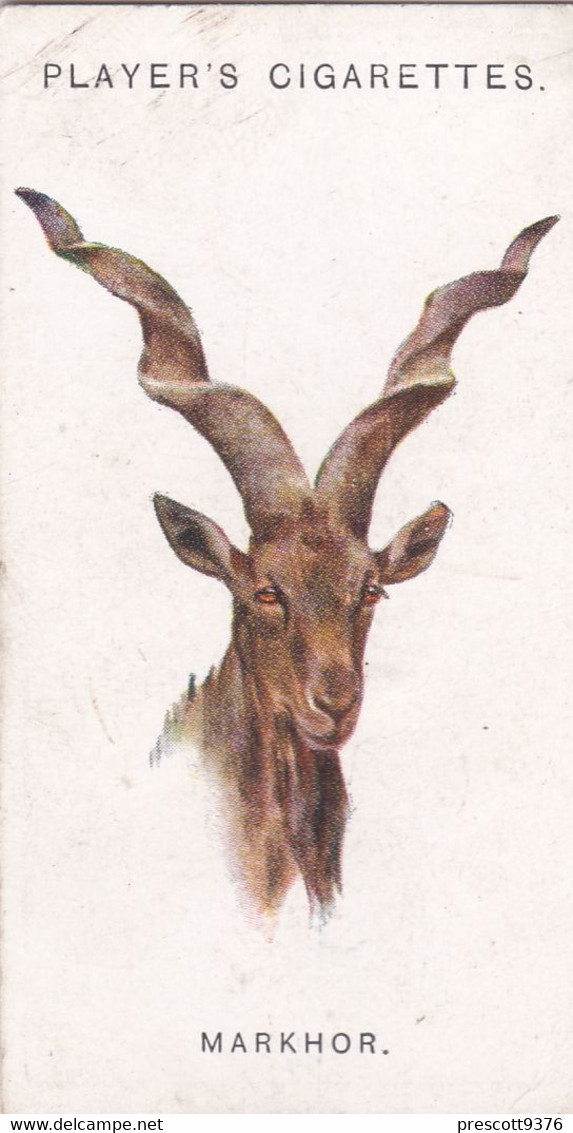 37 The Markhor  - Wild Animal Heads 1931 - Players Cigarette Card - Original - Wildlife, - Wills