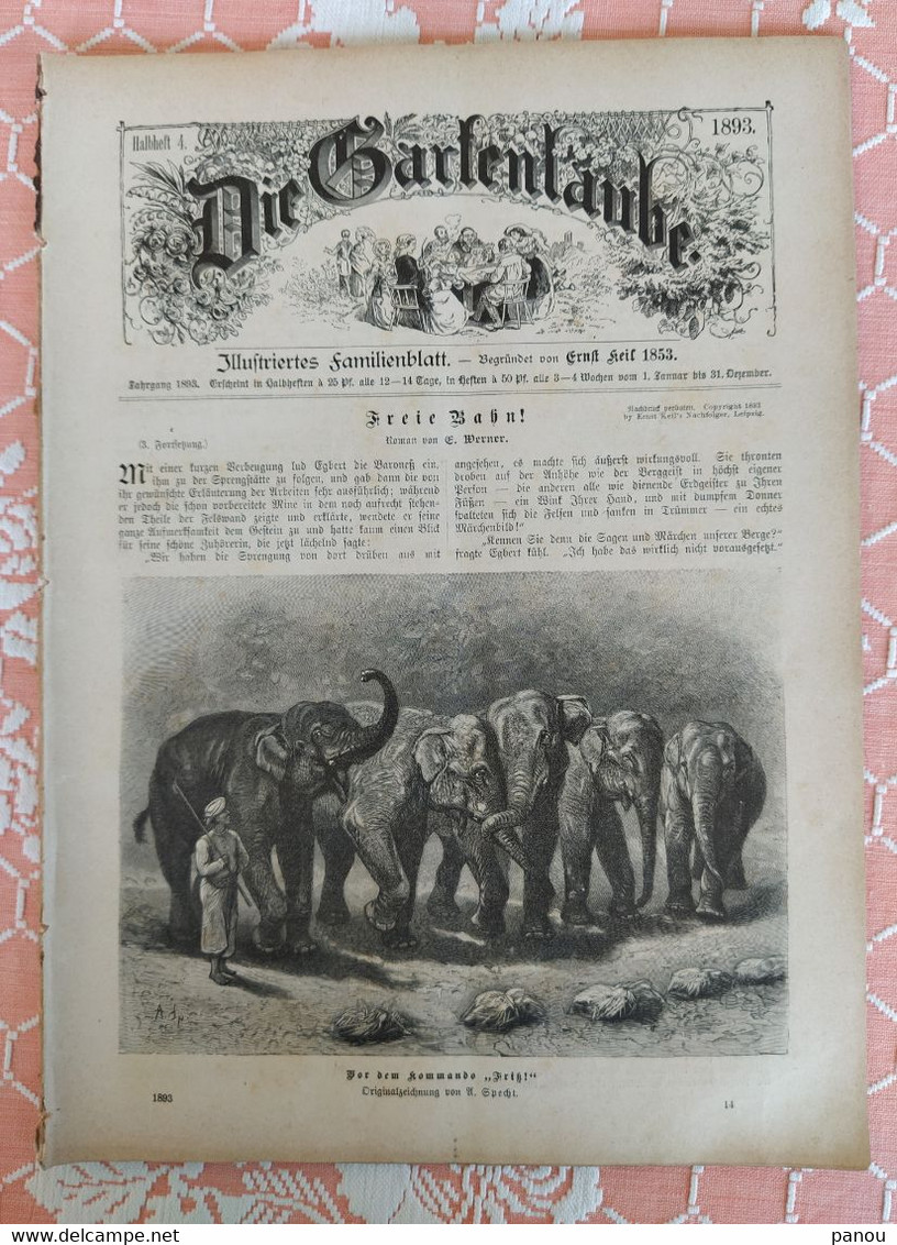 Die Gartenlaube, Illustriertes Familienblatt,1893, Halbheft 4. MENTONE BENTONE, SPREEWALD ALPENROSEN - Sonstige & Ohne Zuordnung