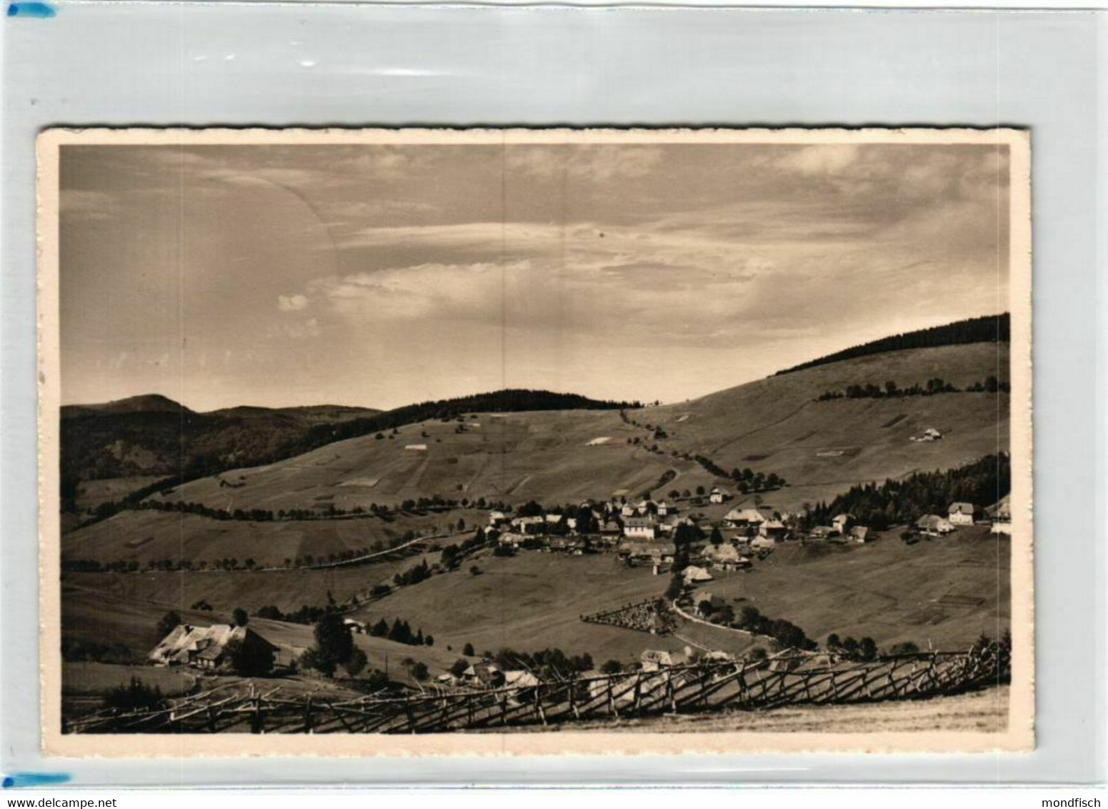 Todtnau - Todtnauberg 1939 - Blick Von Der Bergerhöhe - Todtnau