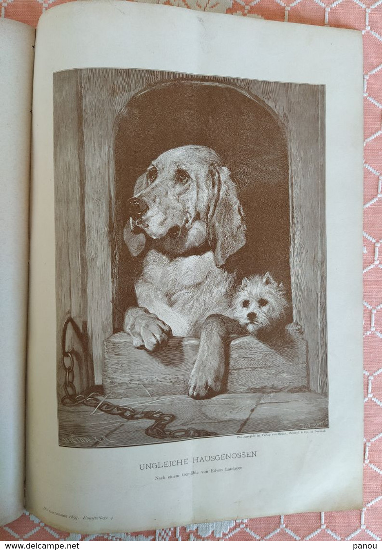 Die Gartenlaube, Illustriertes Familienblatt,1893, Halbheft 6. - Sonstige & Ohne Zuordnung