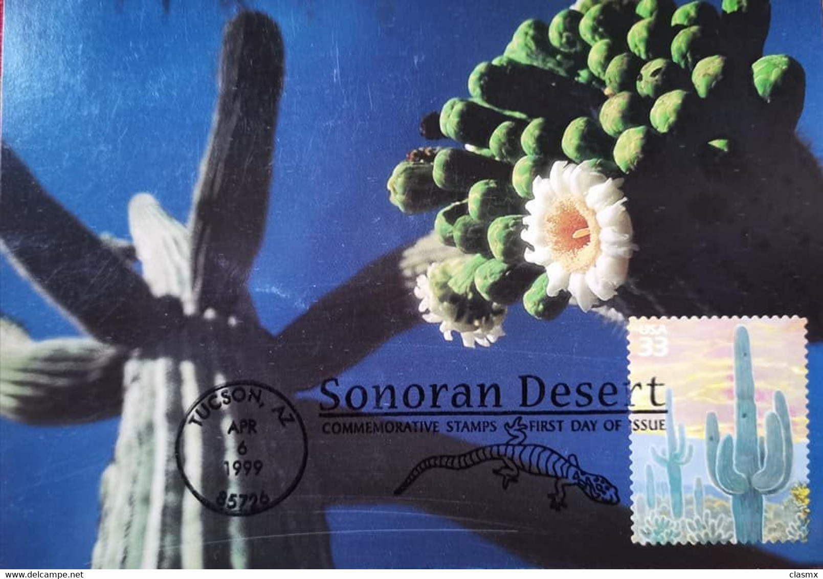 USA CACTUS FLORA MAXIMUM CARD SONORAN DESERT CLEAR POSTMARK SAGUARO - Tucson