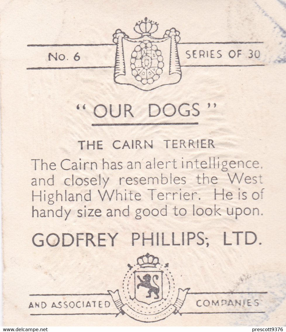 6 Cairn Terrier Puppy   - Our Dogs 1939  -  Phillips Cigarette Card - Original - Pets - Animals - 5x6cm - Phillips / BDV