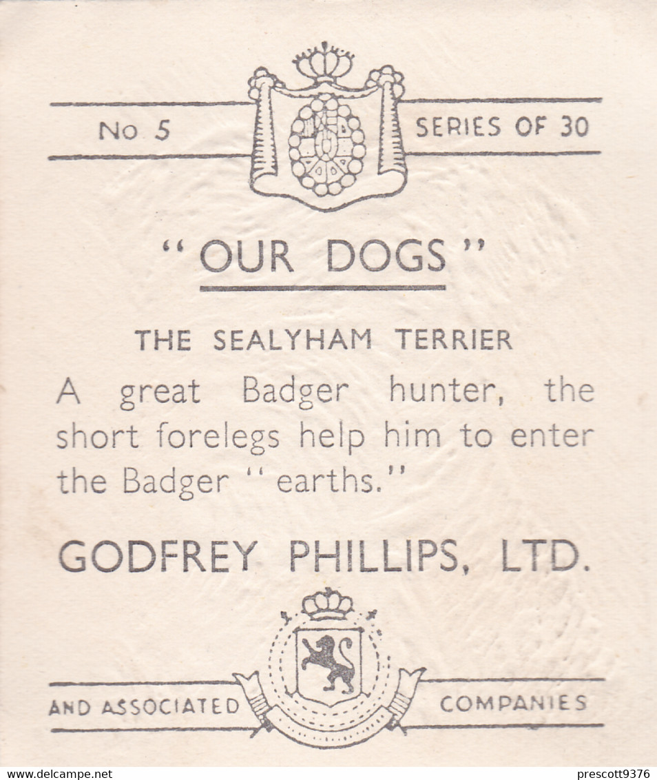 5 Sealyham Terrier  - Our Dogs 1939  -  Phillips Cigarette Card - Original - Pets - Animals - 5x6cm - Phillips / BDV