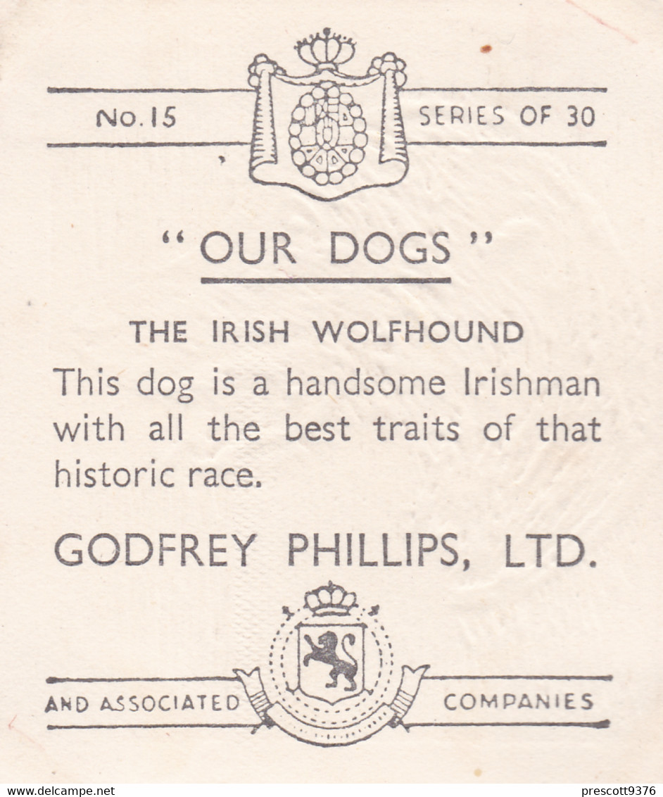 15 Irish Wolhound - Our Dogs 1939  -  Phillips Cigarette Card - Original - Pets - Animals - 5x6cm - Phillips / BDV