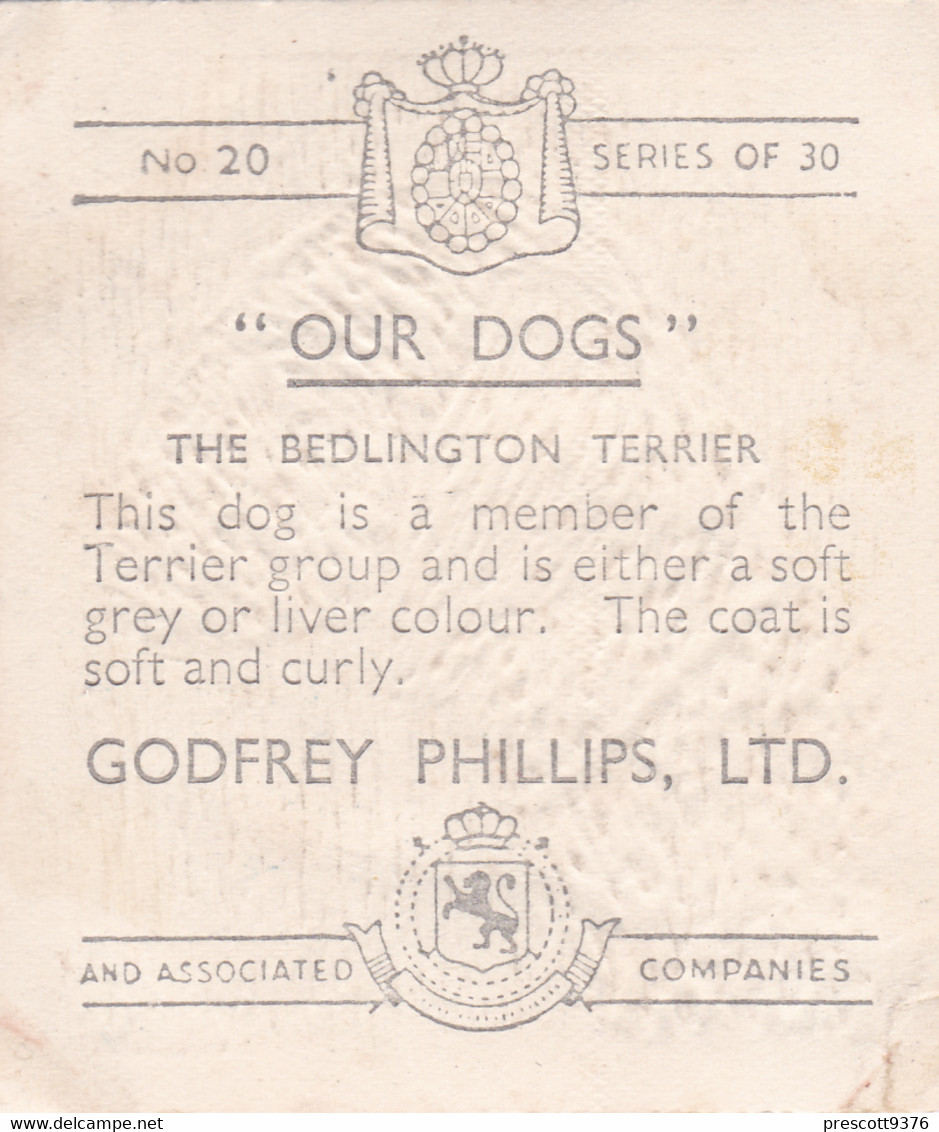 20 Bedlington Terrier  - Our Dogs 1939  -  Phillips Cigarette Card - Original - Pets - Animals - 5x6cm - Phillips / BDV