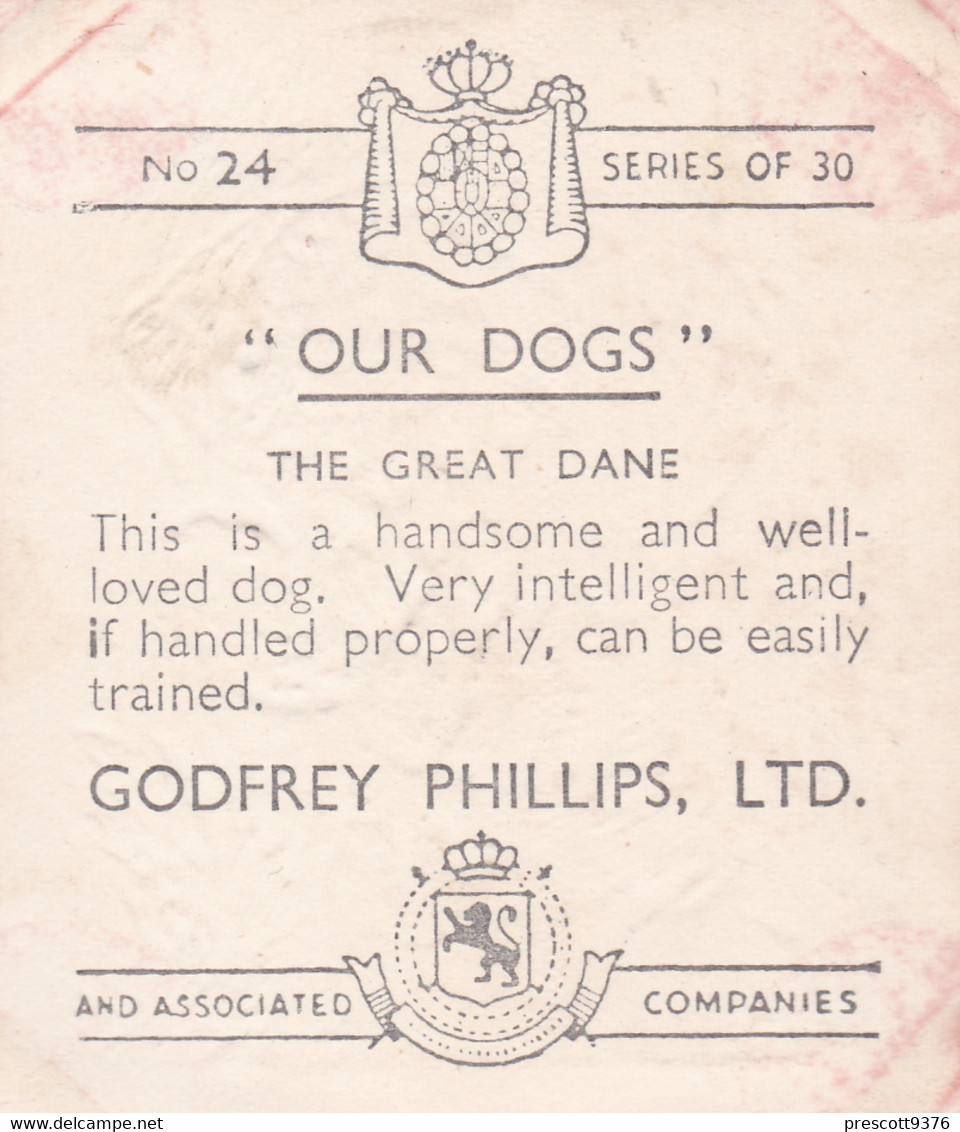 24 The Great Dane  - Our Dogs 1939  -  Phillips Cigarette Card - Original - Pets - Animals - 5x6cm - Phillips / BDV