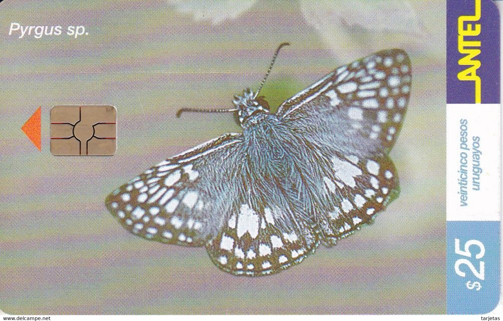 Nº 184 TARJETA DE URUGUAY DE UNA MARIPOSA (CHIP G5 ROJO) BUTTERFLY - Uruguay