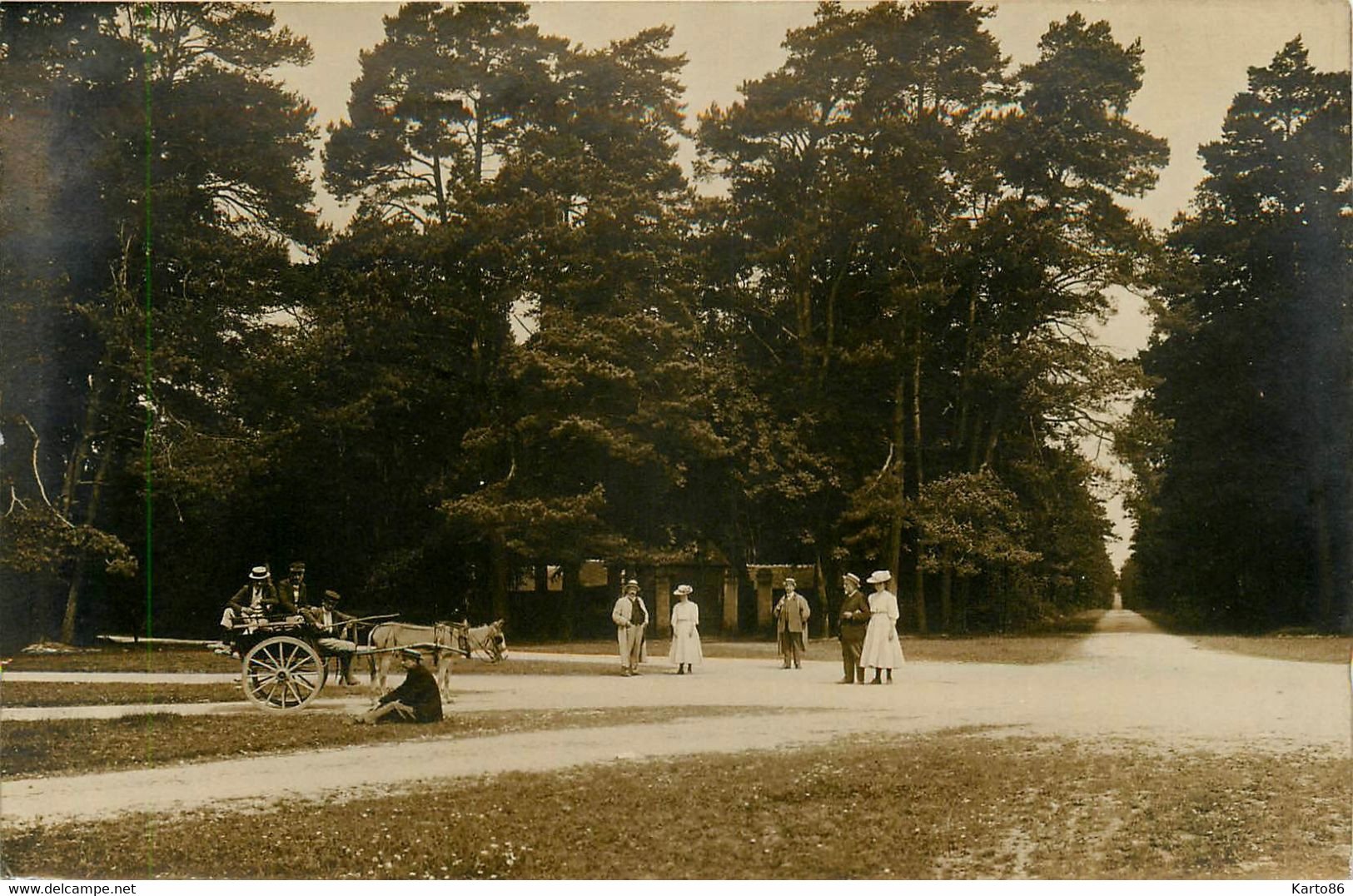 Le Gavre * Carte Photo * La Promenade En Forêt * Attelage * Environs De Blain - Le Gavre