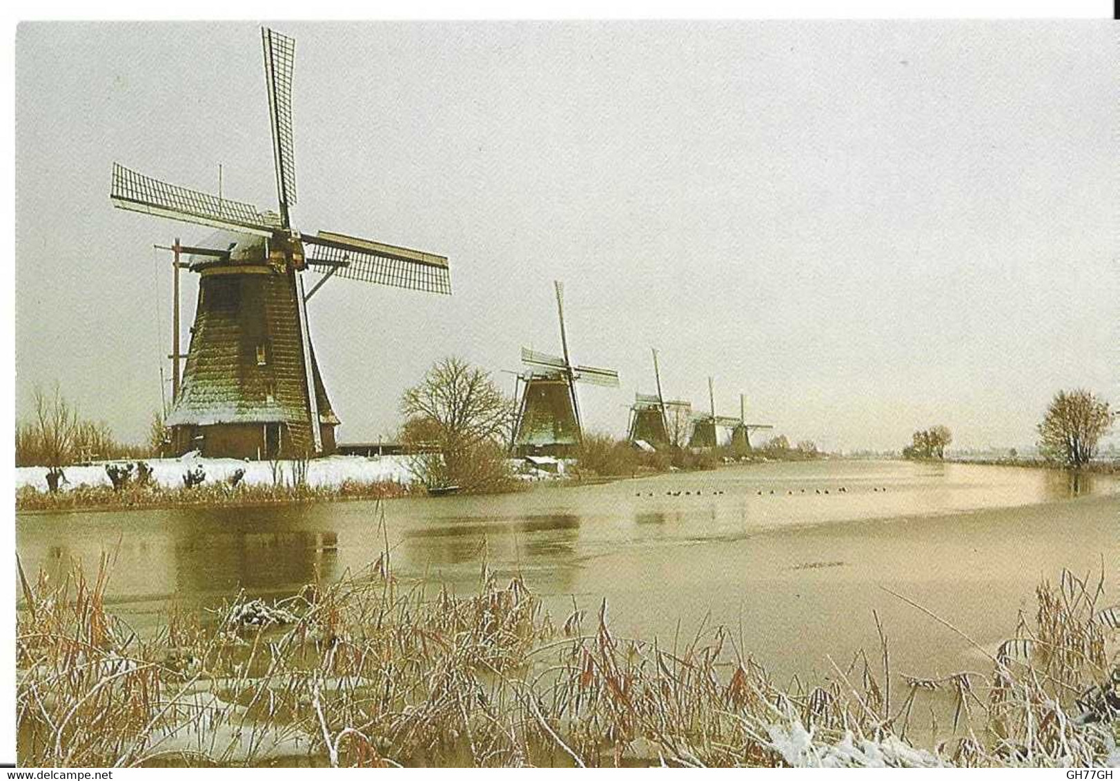 CP KINDERDIJK - Kinderdijk