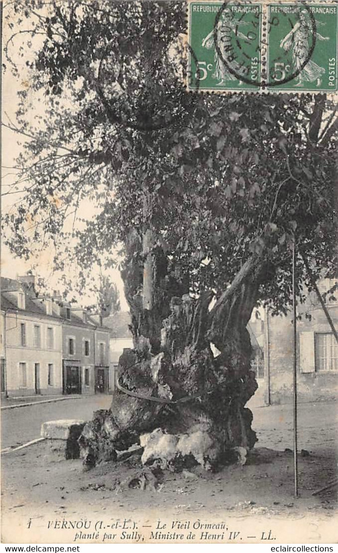 Vernou Sur Brenne         37           Arbre Nommé. Le Vieil Orme Planté Par Sully   (voir Scan) - Other & Unclassified