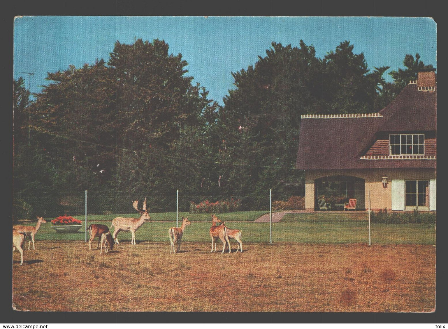 's Gravenwezel - Hertenpark Hof Ter Linden - Schilde