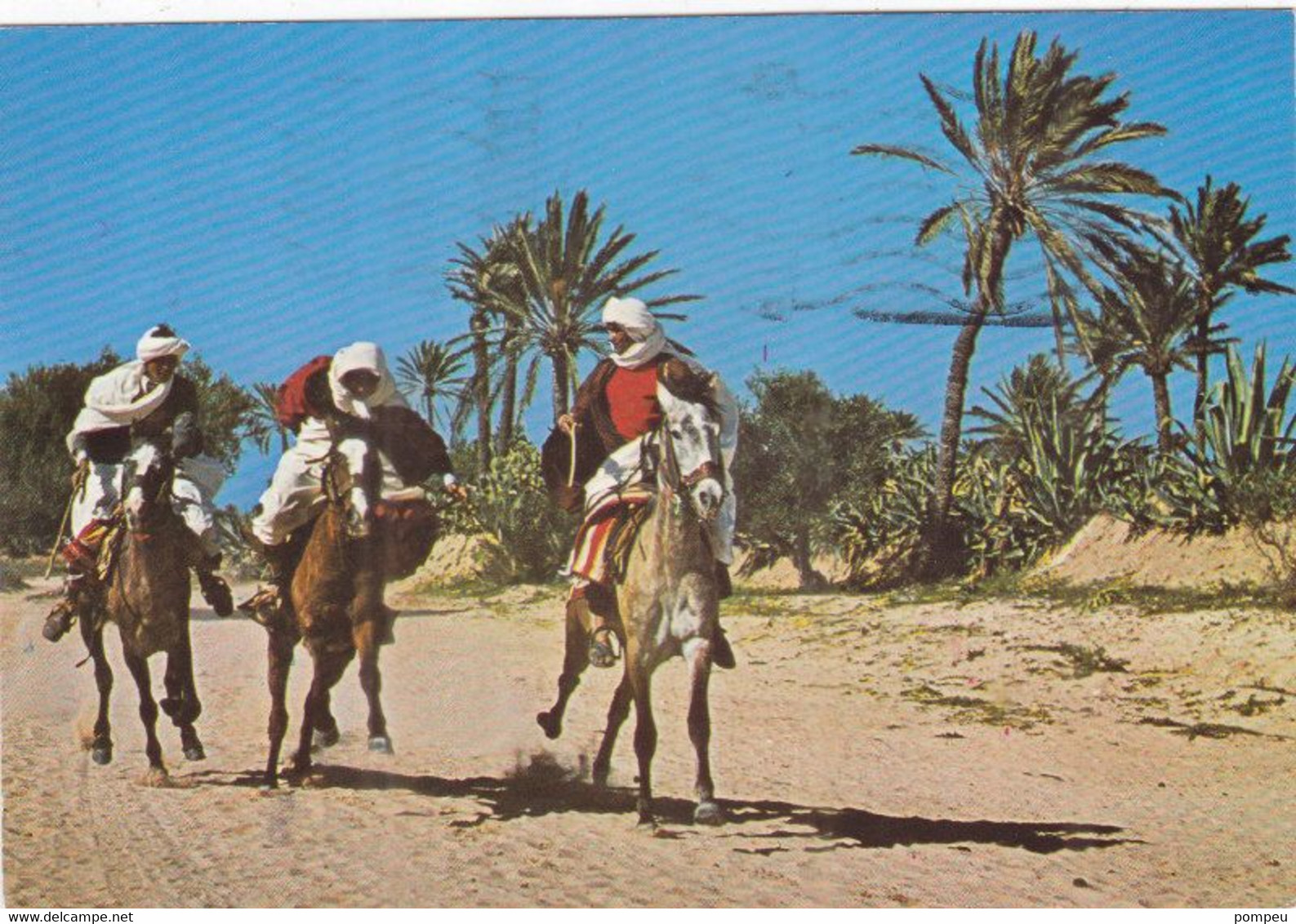 QP -  Lote 5 Cartes -  JERBA, Tunisie - 5 - 99 Cartes