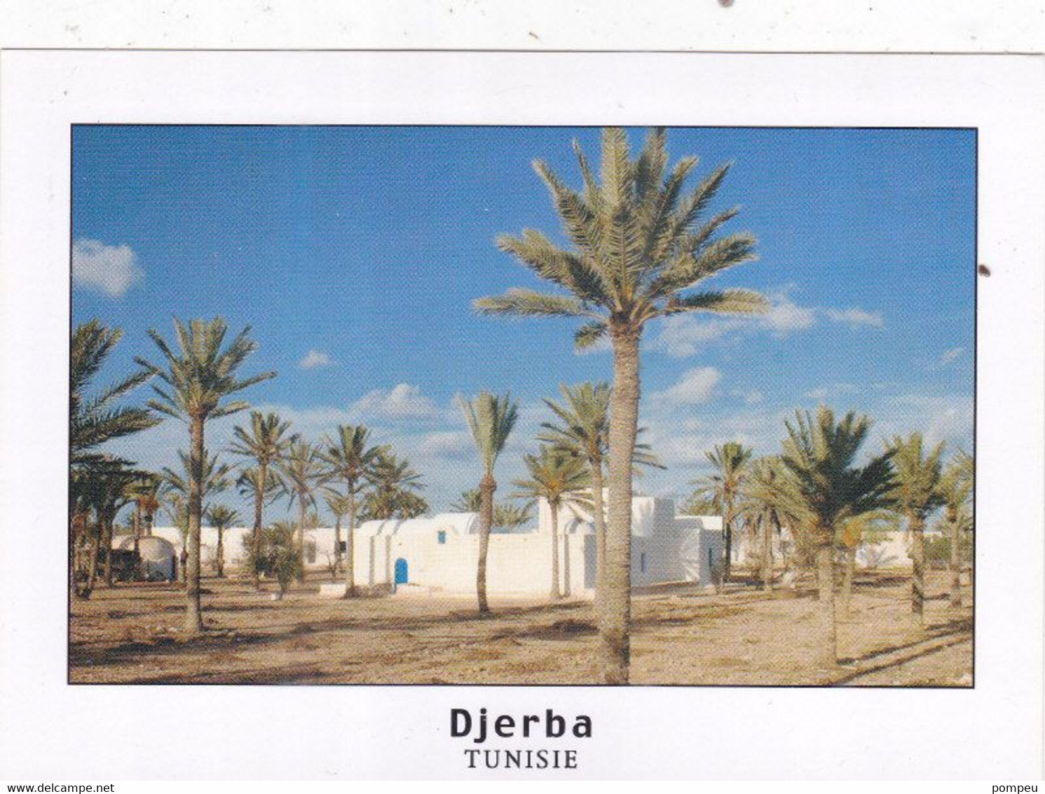 QP -  Lote 5 Cartes -  JERBA, Tunisie - 5 - 99 Cartes