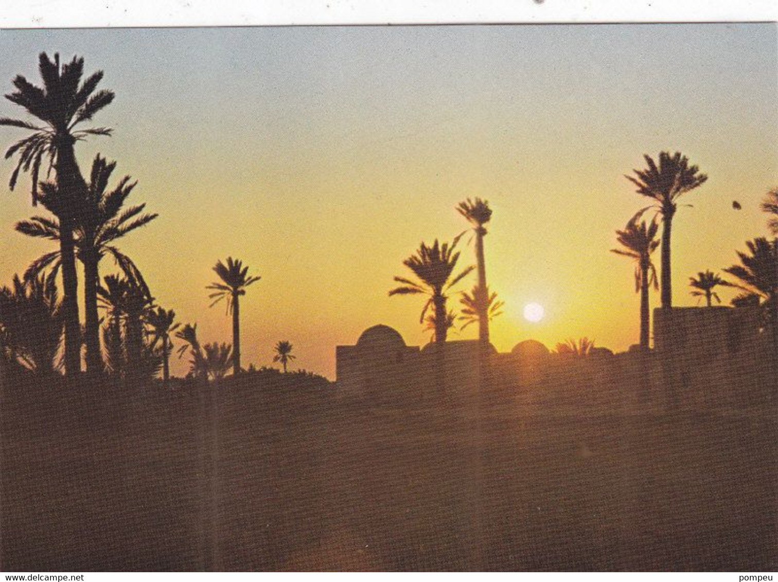 QP -  Lote 5 Cartes -  JERBA, Tunisie - 5 - 99 Cartes