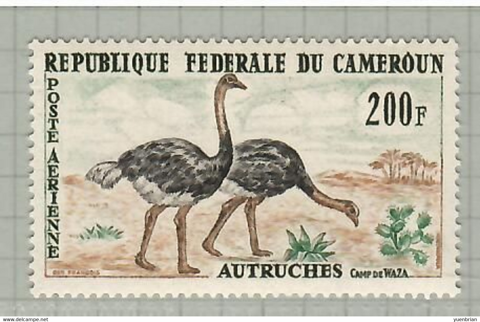 Cameroun 1962, Bird, Birds, Ostrich, 1v, MNH** - Struzzi