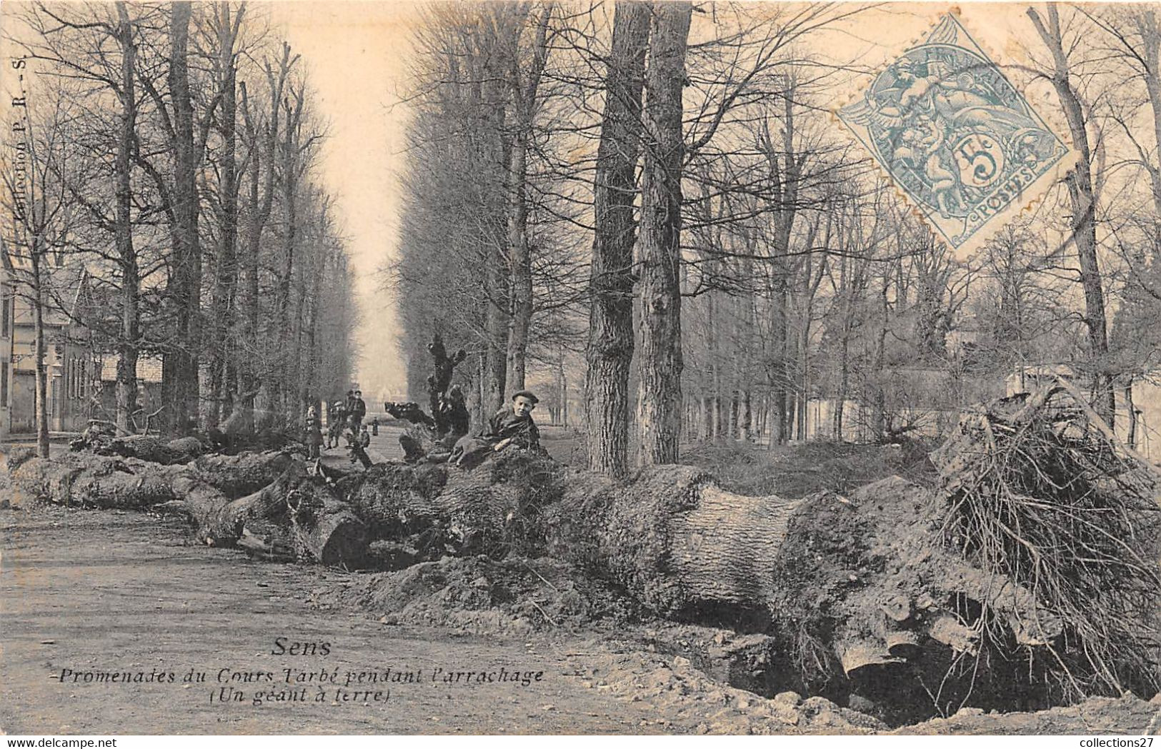 89-SENS- PROMENADES DU COURS TARBE PENDANT L'ARRACHAGE ( UN GÉANT A TERRE ) - Sens