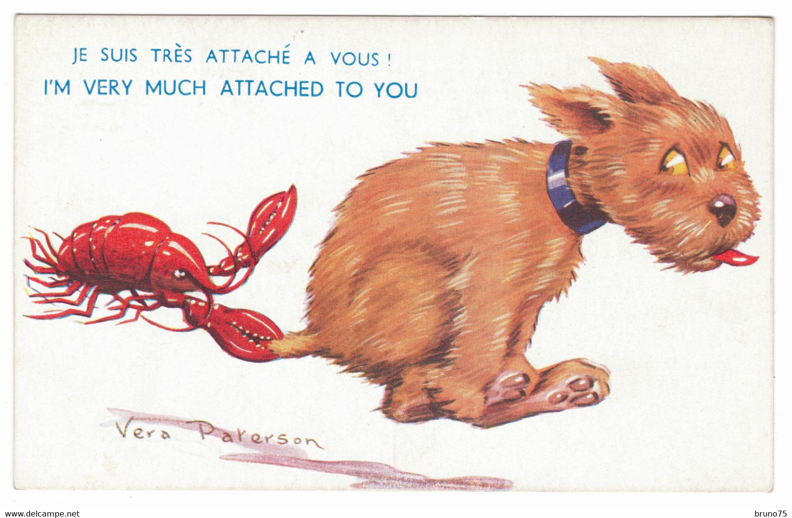 Vera PATERSON - Je Suis Très Attaché à Vous ! - Chien - Dog - Homard - Lobster - Paterson