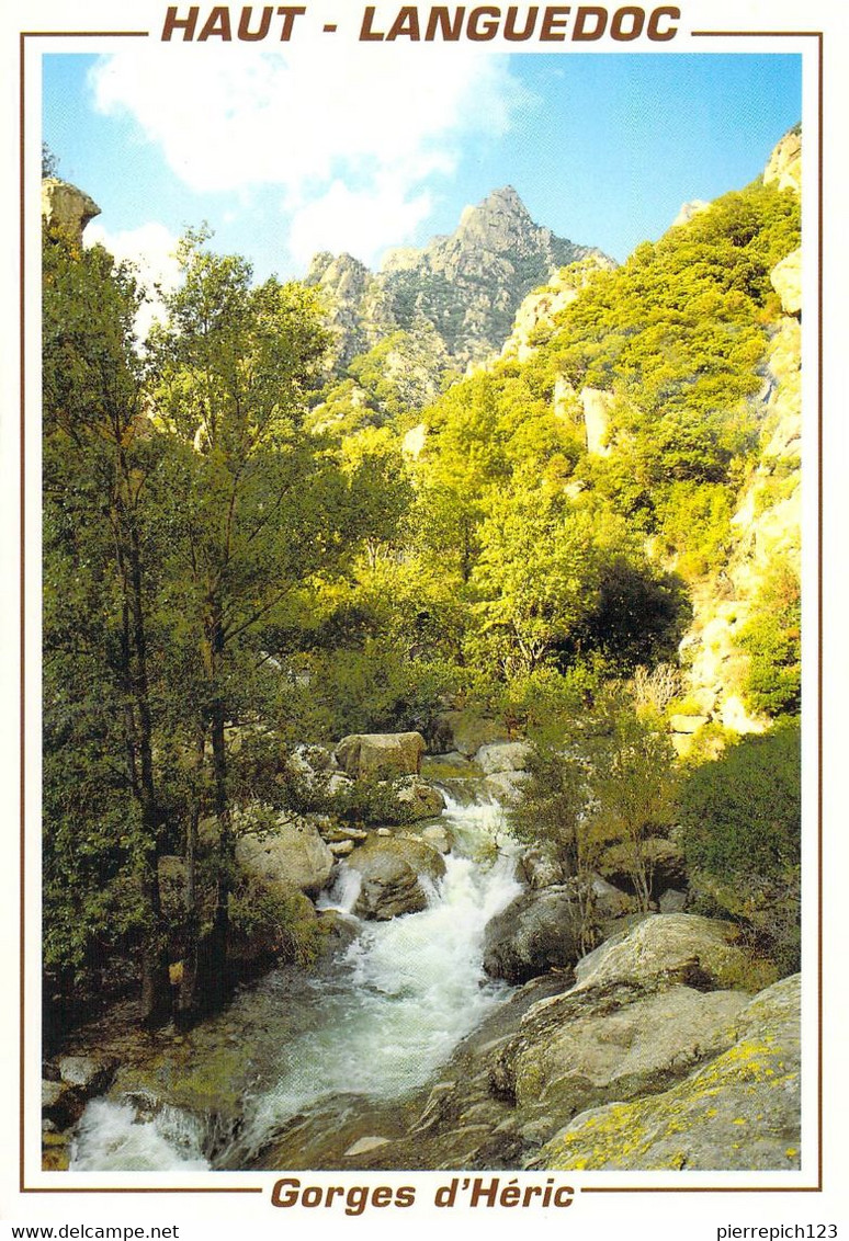 34 - Gorges D'Héric - Vue Sur Les Gorges - Andere & Zonder Classificatie