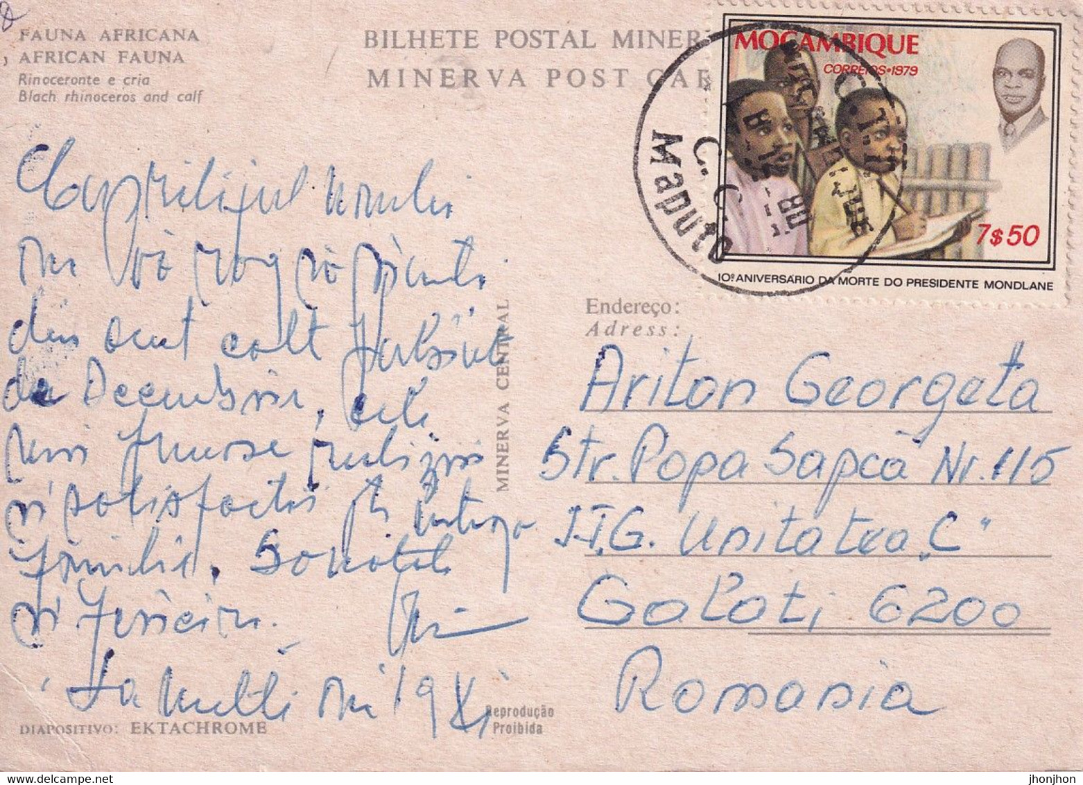 Mozambic - Postcard  Used 1980   -  African Fauna - Black  Rhinoceros And Calf - 2/scans - Rhinoceros