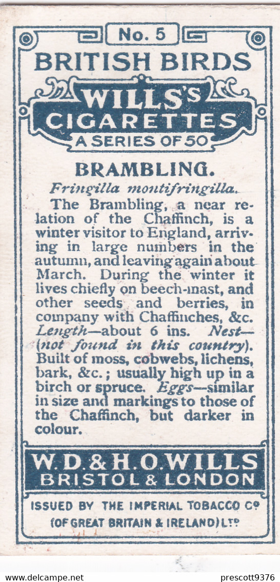5 Brambling -   British Birds 1915 - Wills Cigarette Card - Antique - Wildlife - Wills