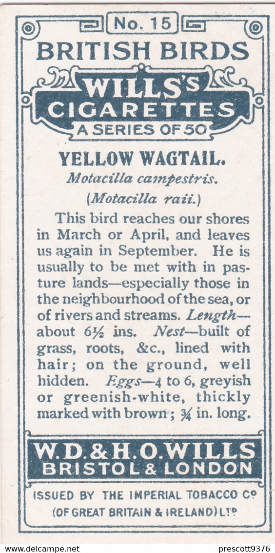 15 Yellow Wagtail -   British Birds 1915 - Wills Cigarette Card - Antique - Wildlife - Wills