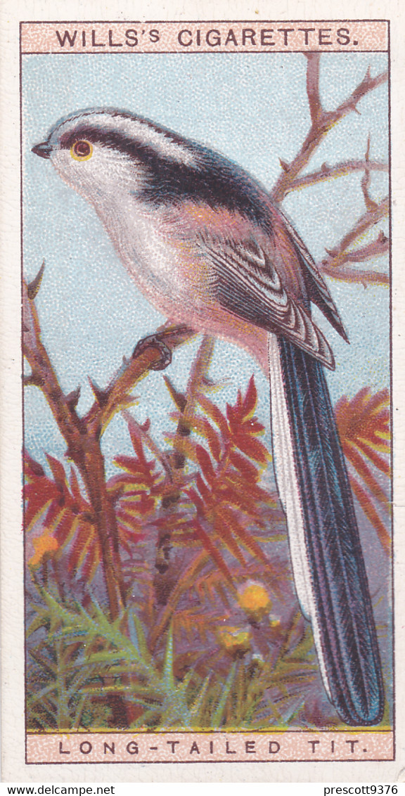 20 Long Tailed Tit -   British Birds 1915 - Wills Cigarette Card - Antique - Wildlife - Wills