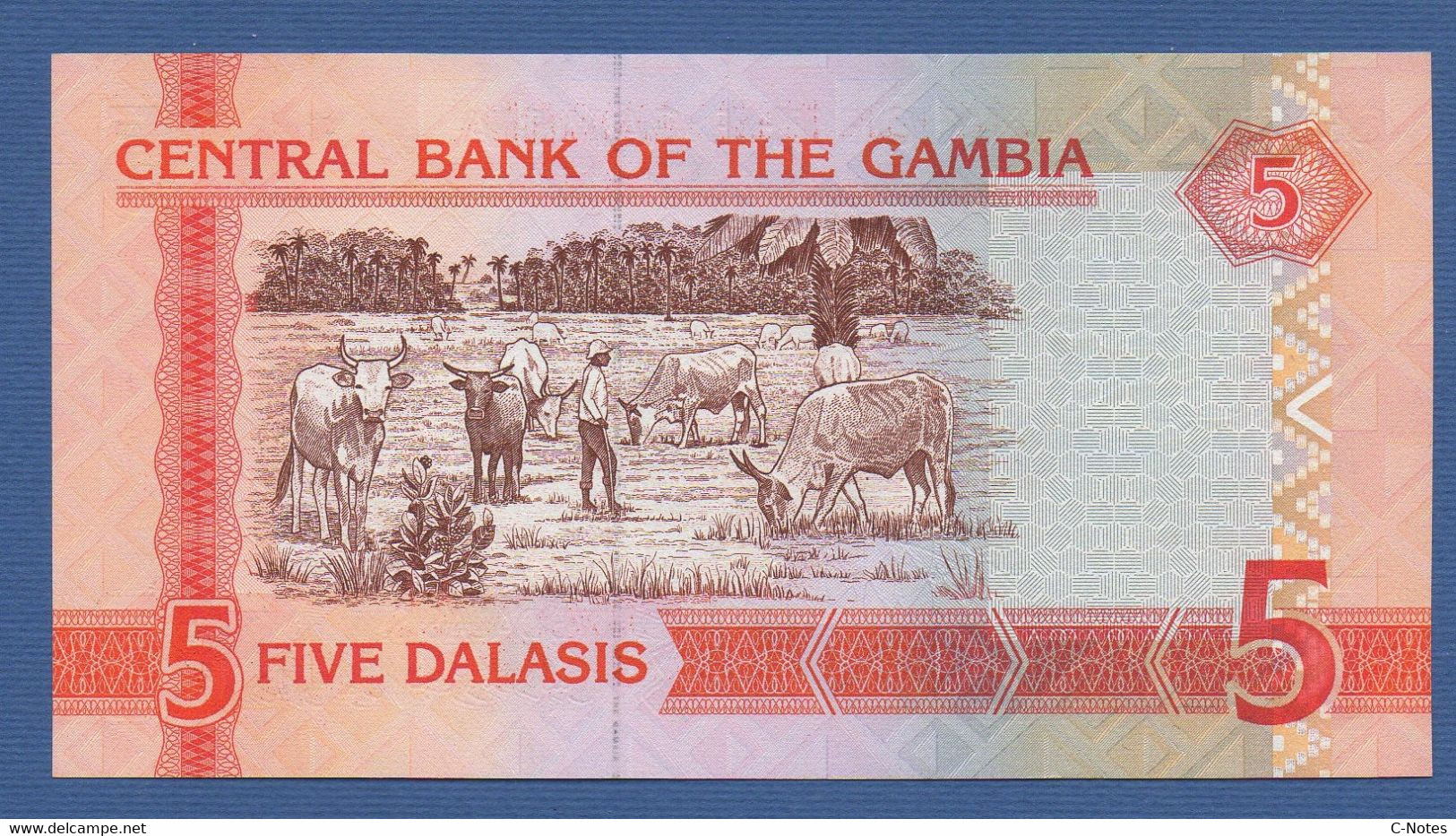GAMBIA - P.25a – 5 Dalasis ND (2006) UNC Serie D5470796 - Gambie