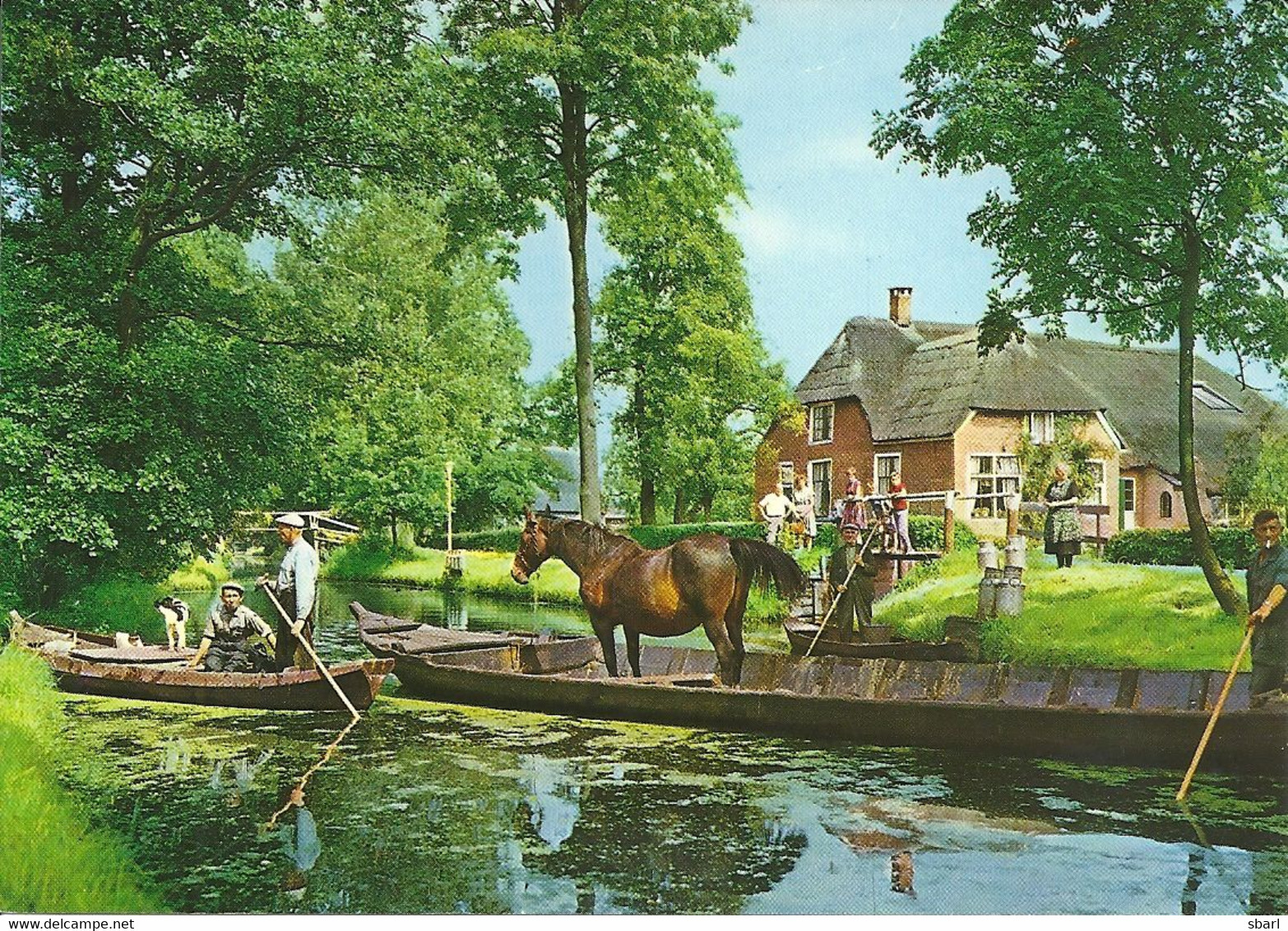 CPM Giethoorn Vervoer Paard Per Boot - Transport D'animal Sur Barque Dans Les Canaux De Hollande - Giethoorn