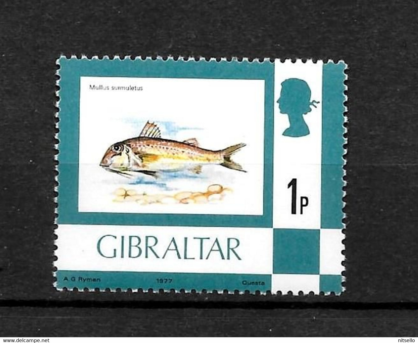 LOTE 1992 ///  GIBRALTAR  **MNH - Gibilterra