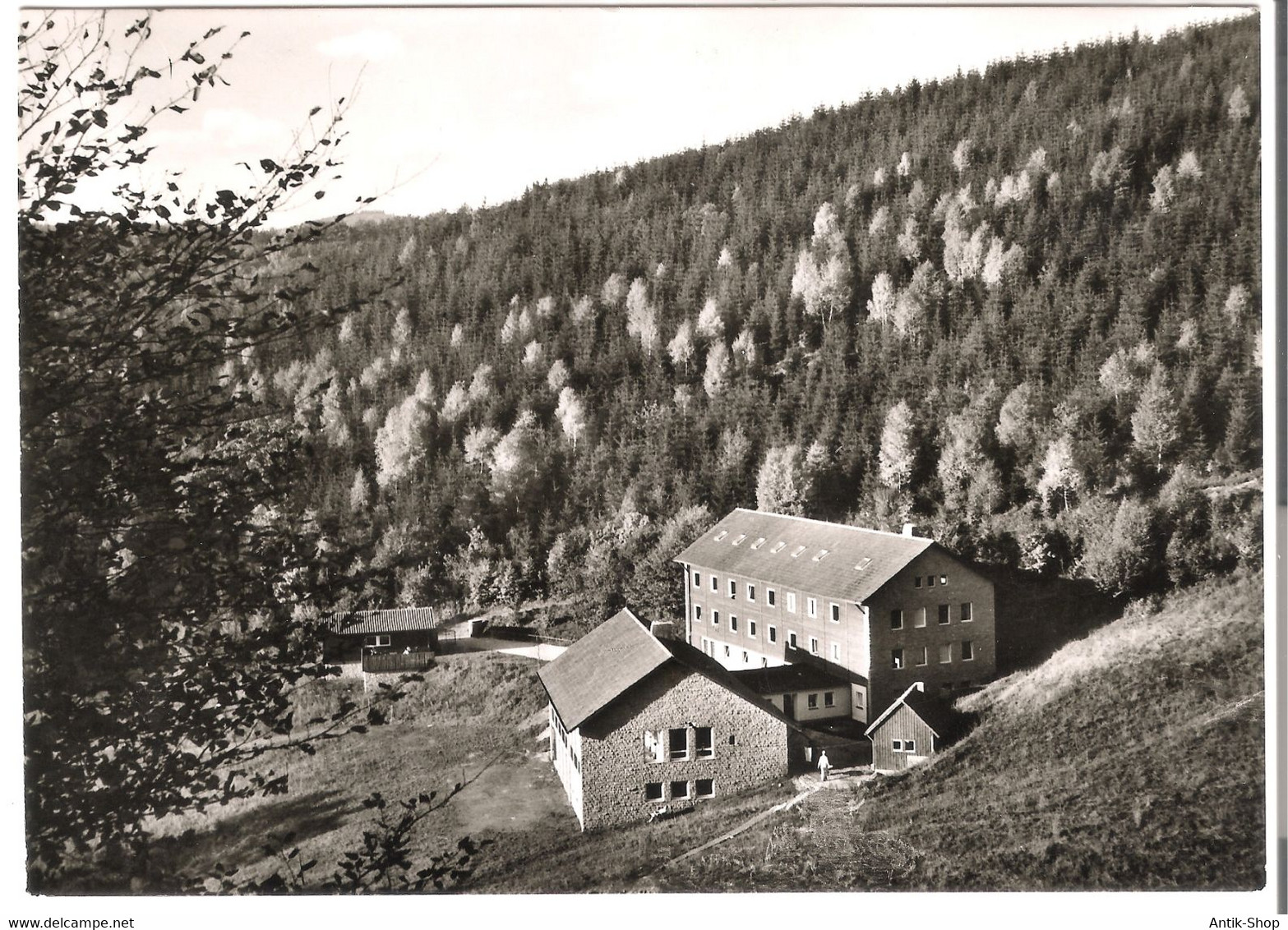 Jugendherberge - Bad Lauterberg V. 1959 (53689) - Bad Lauterberg