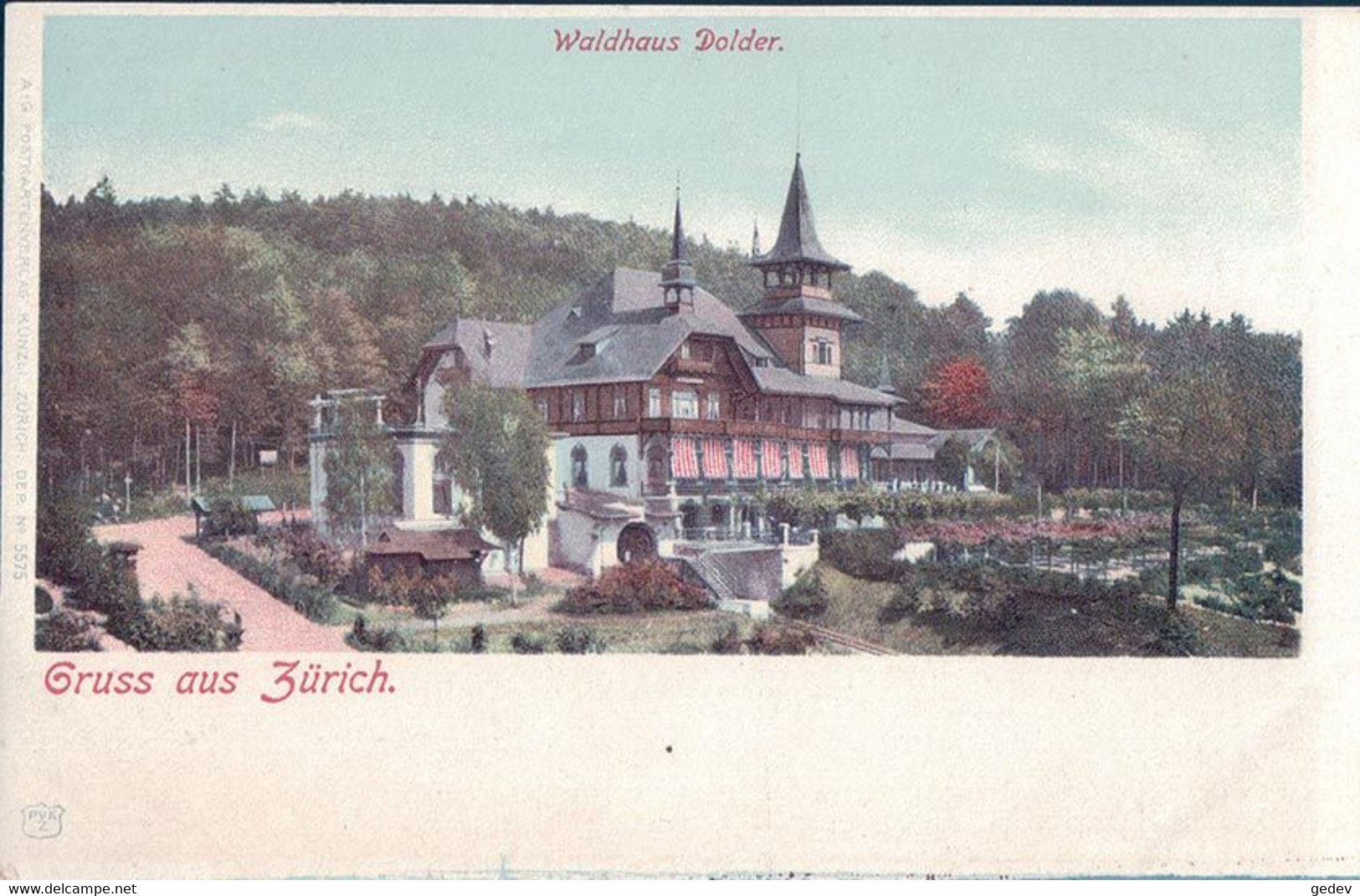 Zürich, Waldhaus Dolder (5575) - Wald