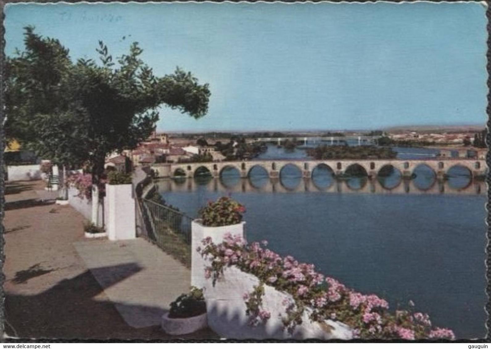 CPSM - ZAMORA - Vue Panoramique Du DOURO  - Edition G. Garrabella - Zamora