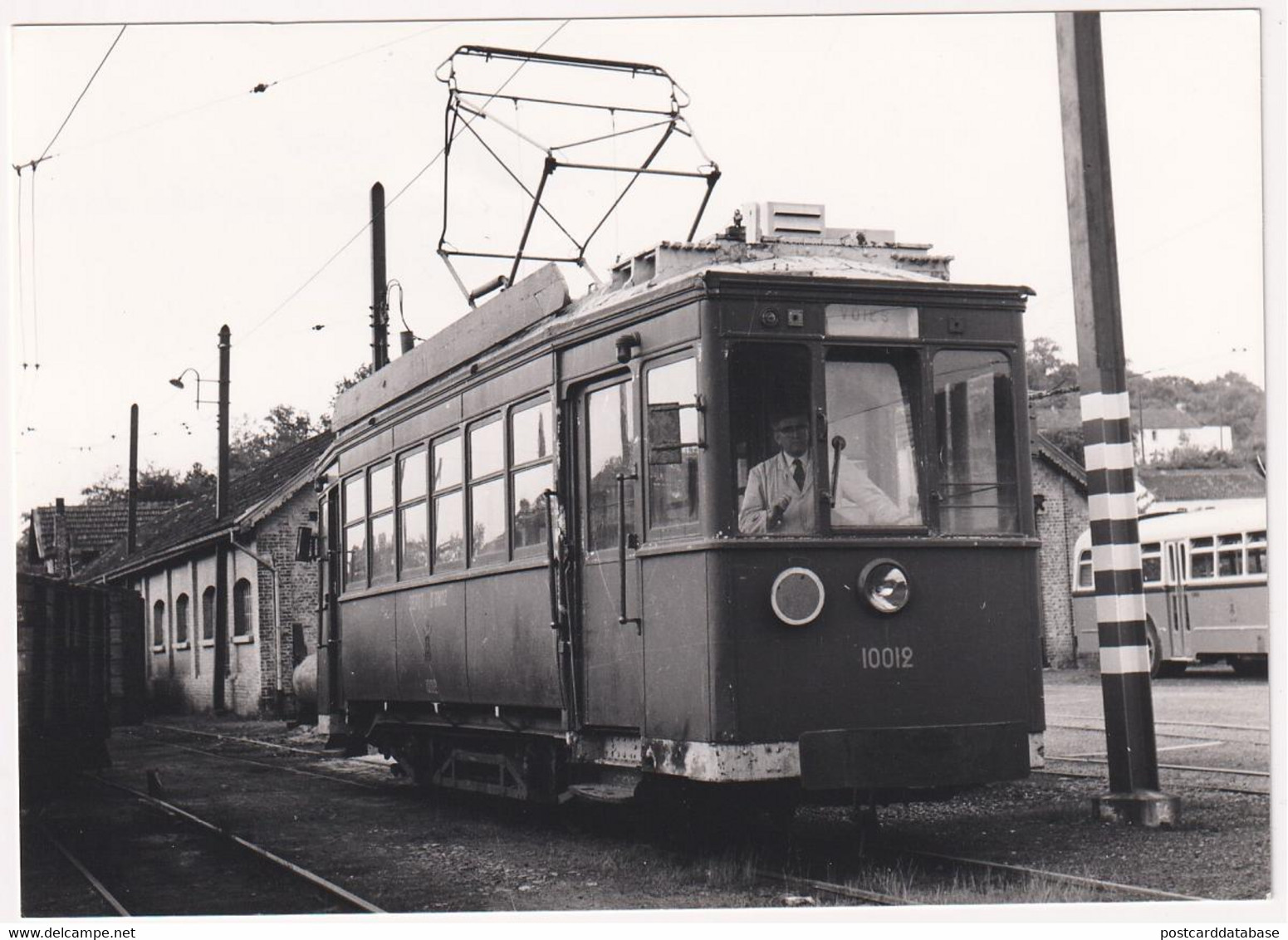 Onoz Dépôt SNCV 1960 - Photo Repro - & Tram - Ternes