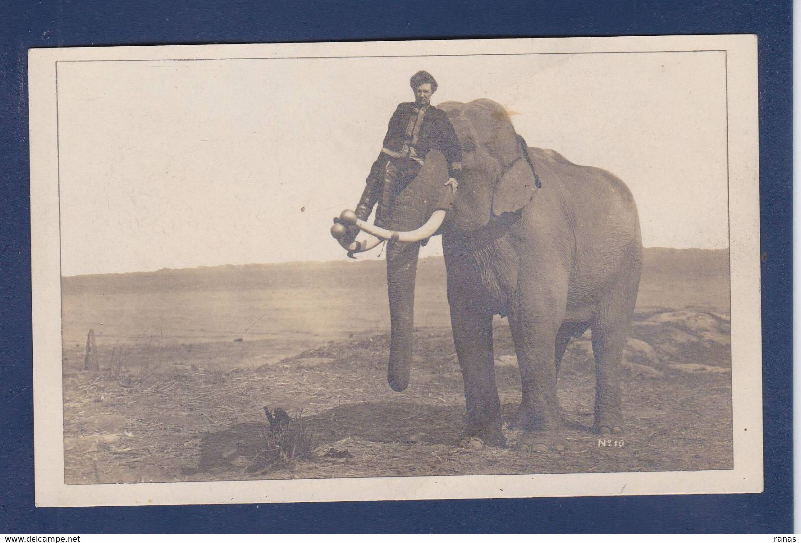 CPA éléphant Carte Photo Non Circulé Cirque Circus ? - Elefanten