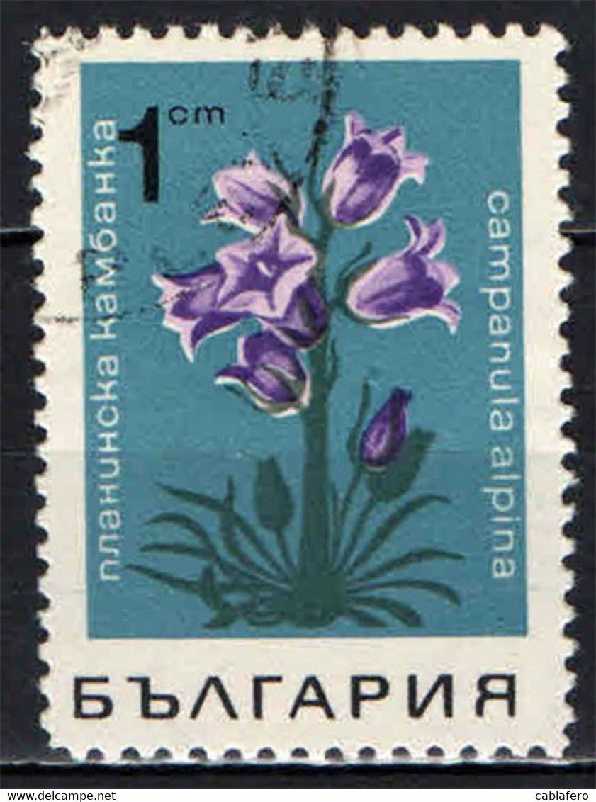 BULGARIA - 1968 - FIORE: CAMPANULA - FLOWER - USATO - Gebraucht