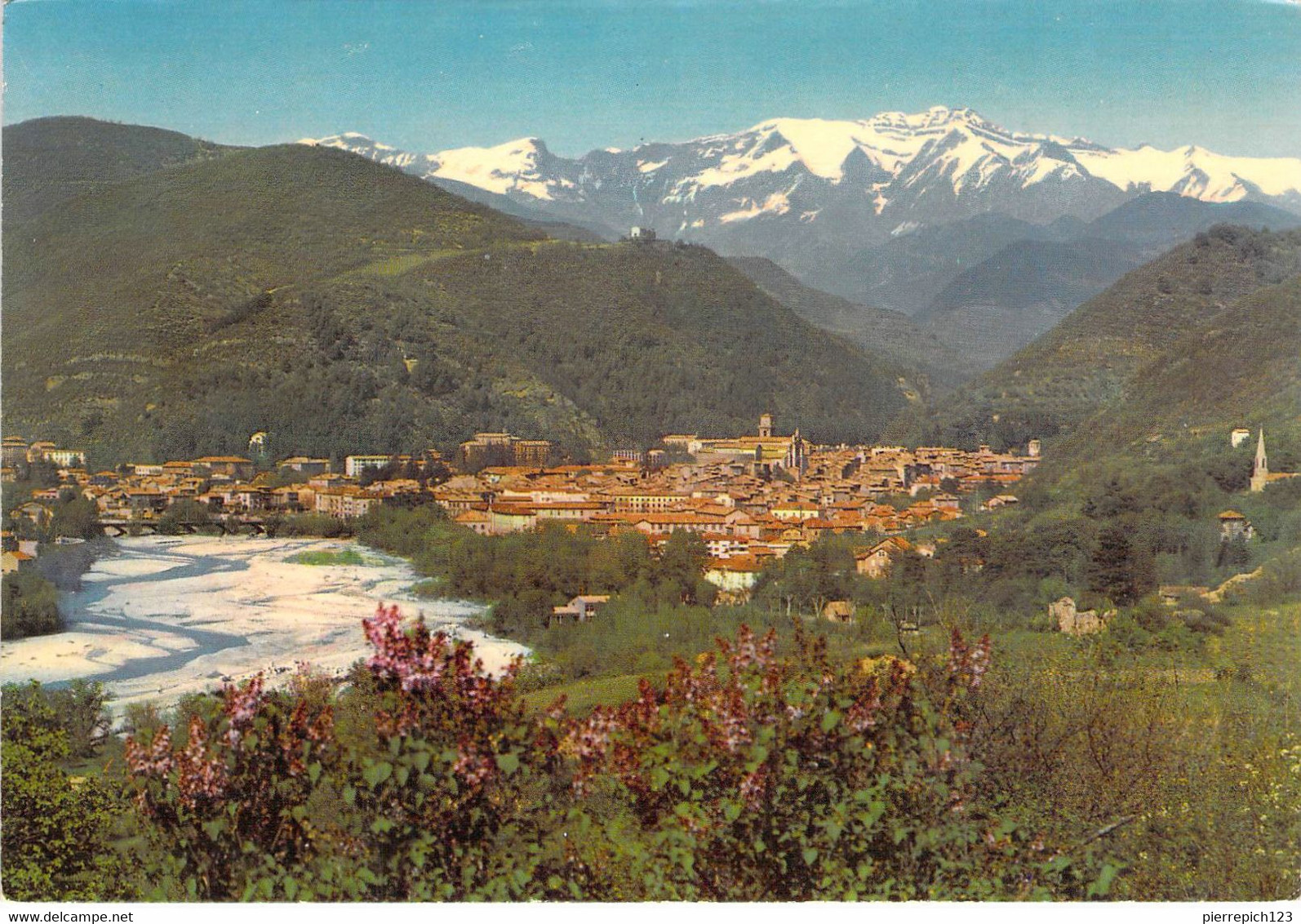 04 - Digne - Vue Générale Et Massif Des Trois Evêchés - Digne