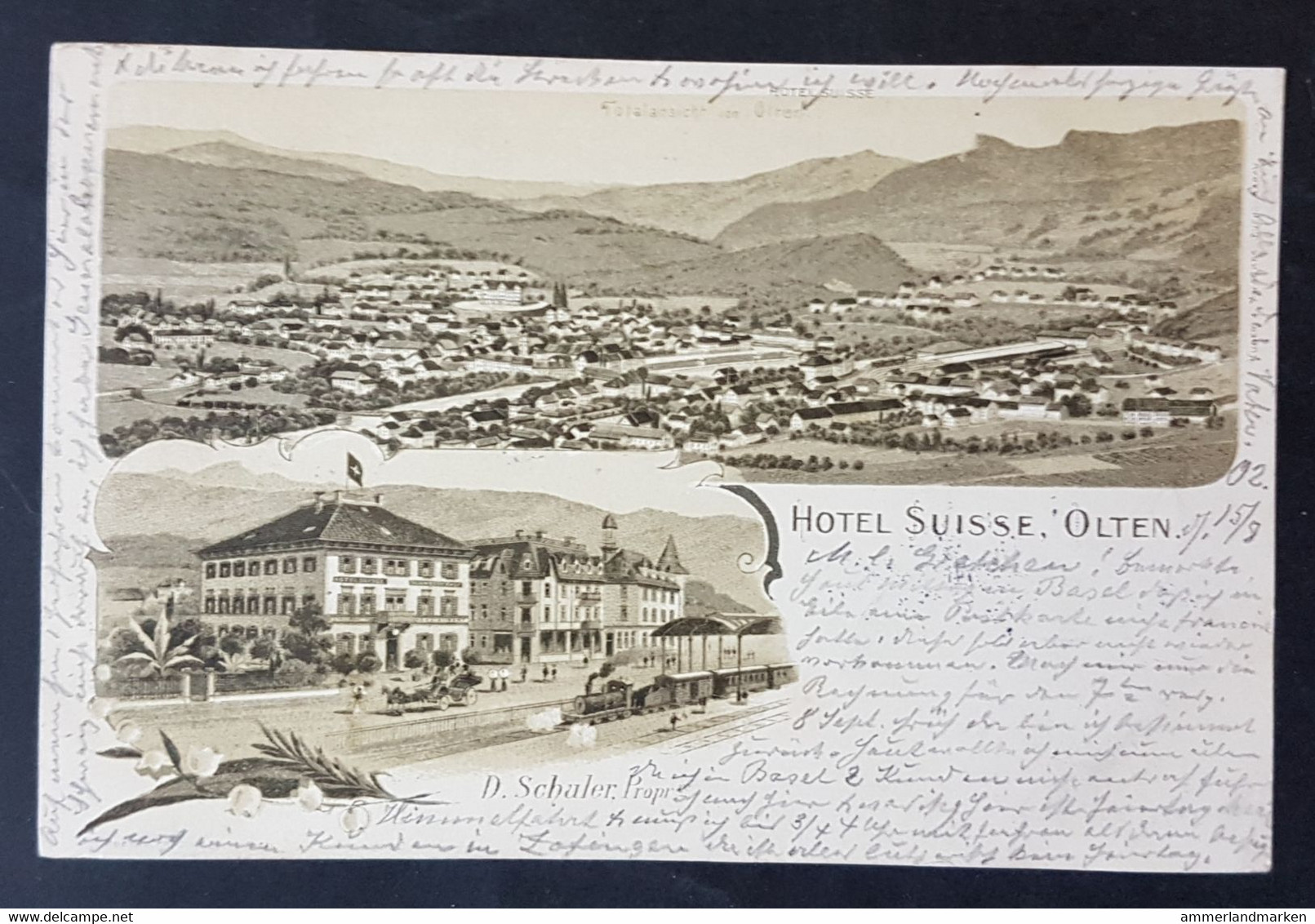 Litho Hotel Suisse, Olten, Gelaufen 1902 - Olten