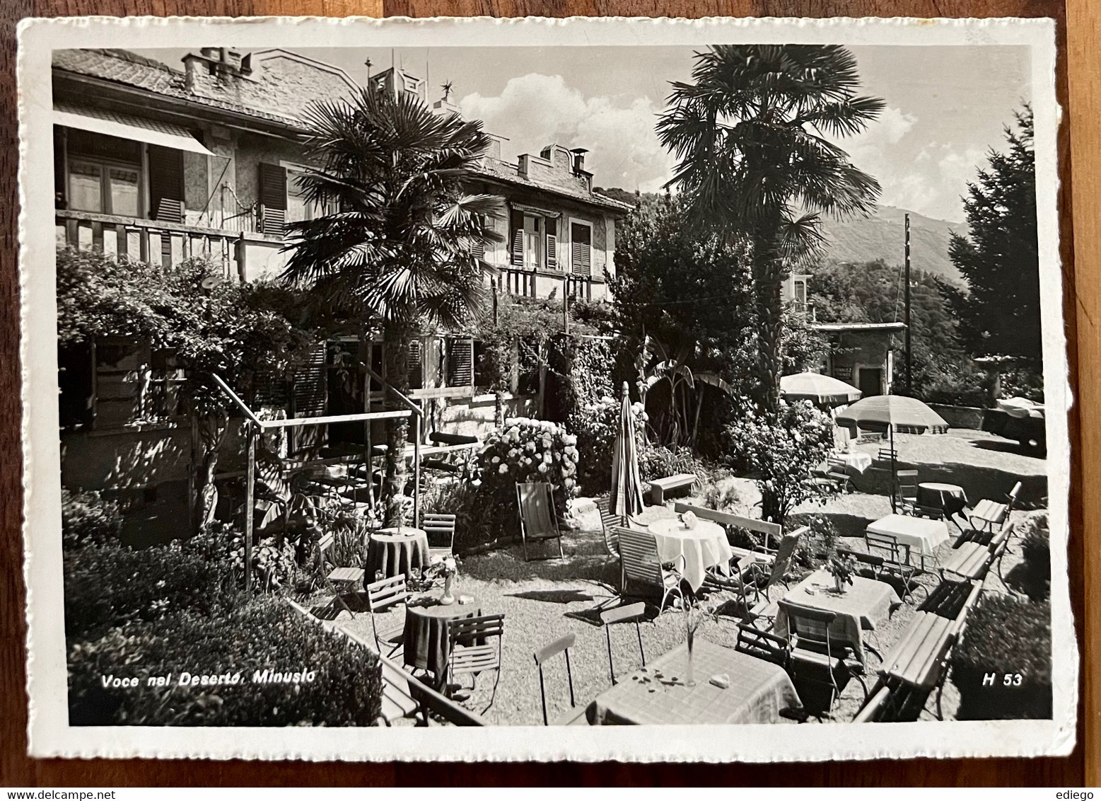 AK: MINUSIO - PENSION RESTAURANT - TERRASSE "VOCE NEL DESERTO" 1940 - Minusio