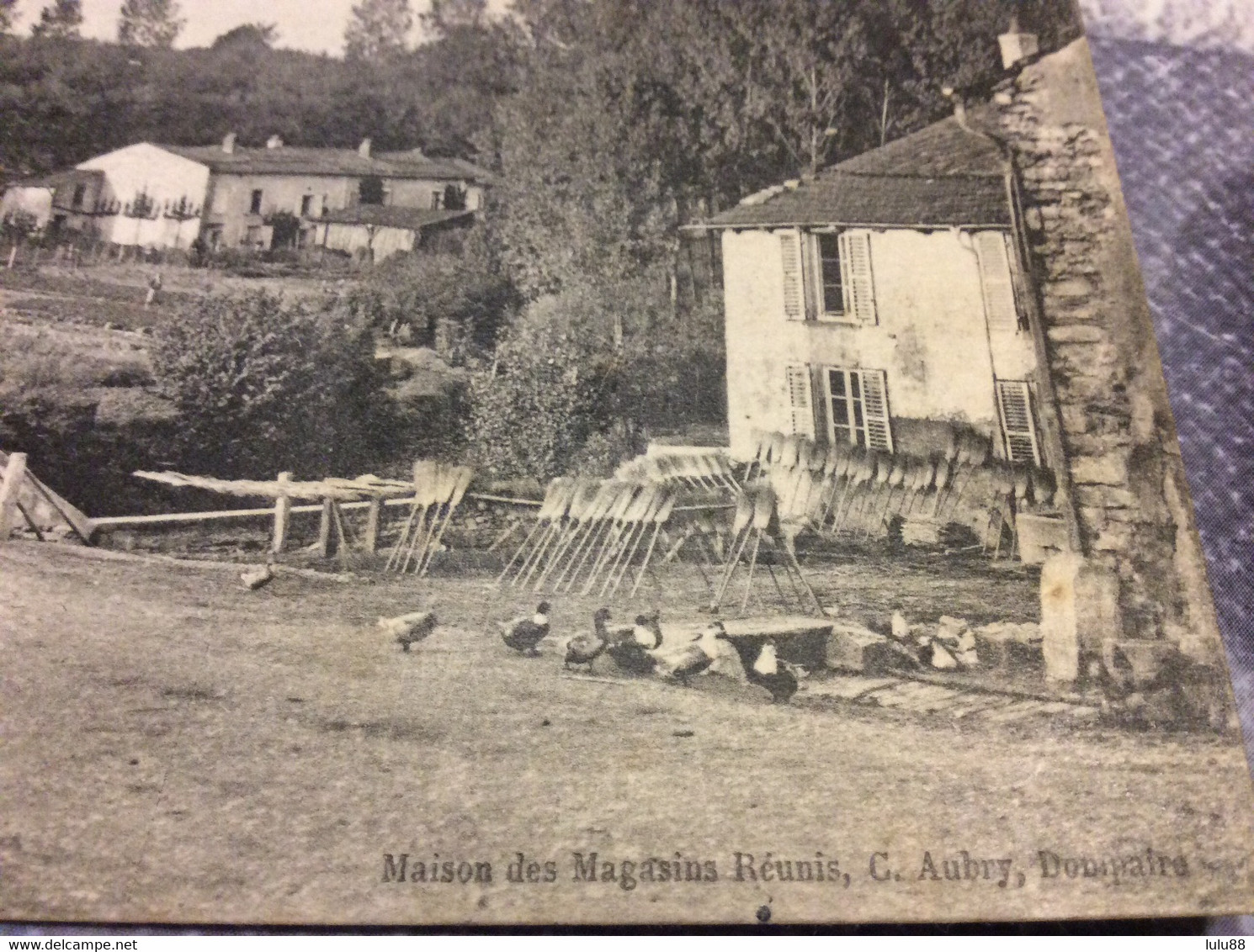 ♦️ DOMPAIRE. Le Pont Du Saulcy. Fabricant Ou Marchand De Balais ? CARTE RARE - Dompaire