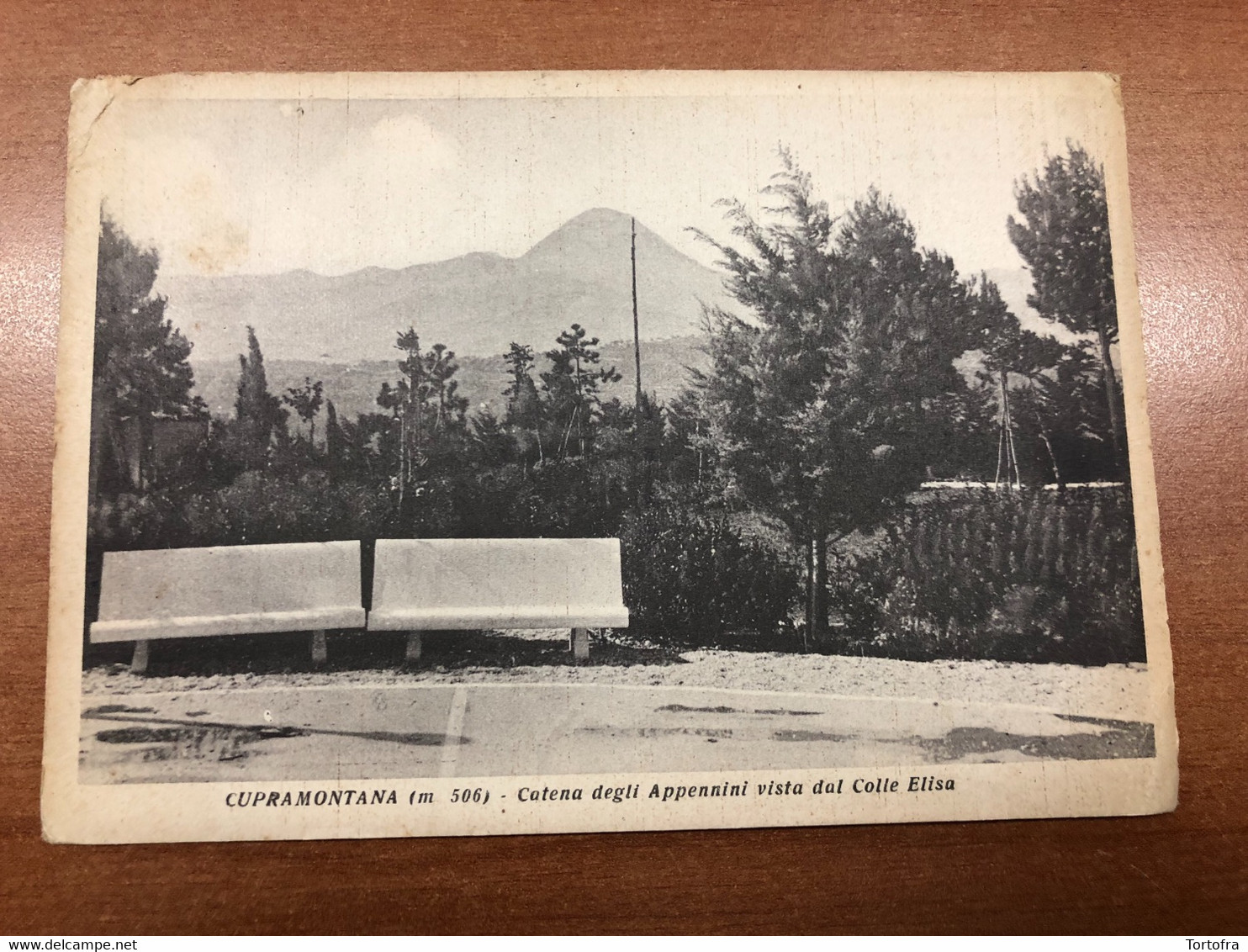 CUPRAMONTANA ( ANCONA ) CATENA DEGLI APPENNINI VISTA DAL COLLE ELISA 1950 - Ancona