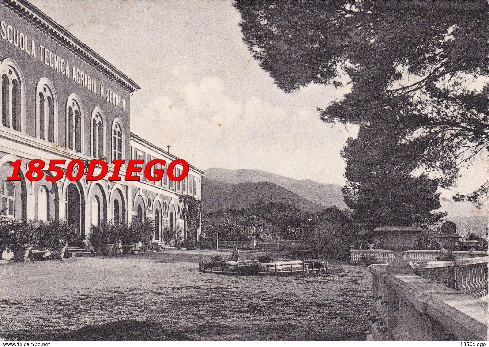 FABRIANO - SCUOLA TECNICA AGRARIA N. SERAFINI F/GRANDE VIAGGIATA 1955 - Ancona