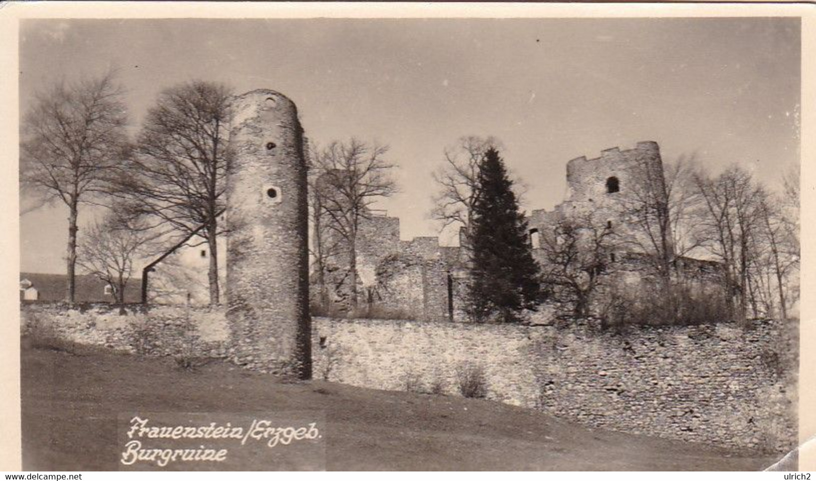 AK Frauenstein - Erzgebirge - Burgruine (57987) - Frauenstein (Erzgeb.)